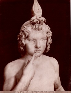 Albumina Brogi