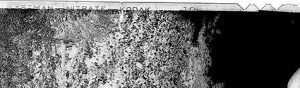 Notch code NITRATE