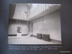 IMG_6347