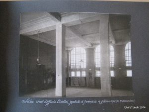 IMG_6350