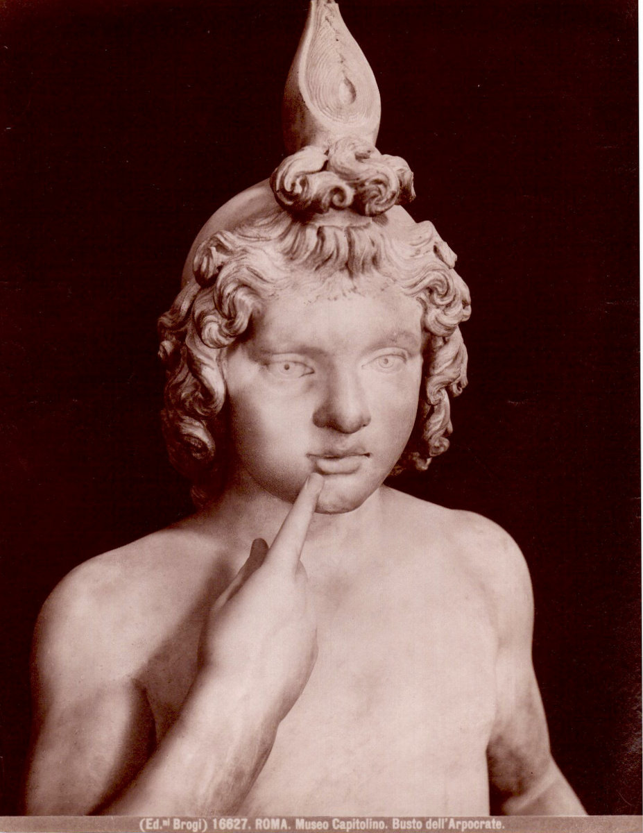 Albumina Brogi